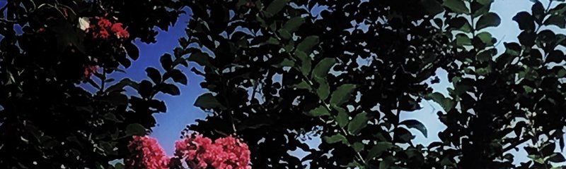 58100D0A-772E-46CF-9AAD-7BD28304DF40.jpeg