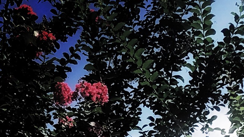 58100D0A-772E-46CF-9AAD-7BD28304DF40.jpeg