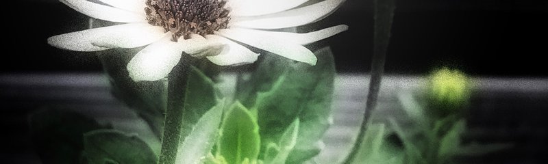 6BB77B87-63A4-479A-84D7-65B21383E930.jpeg
