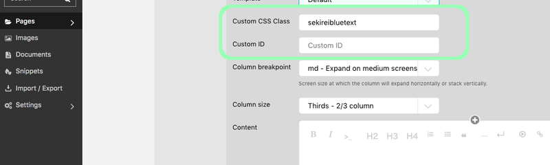css-setting.png