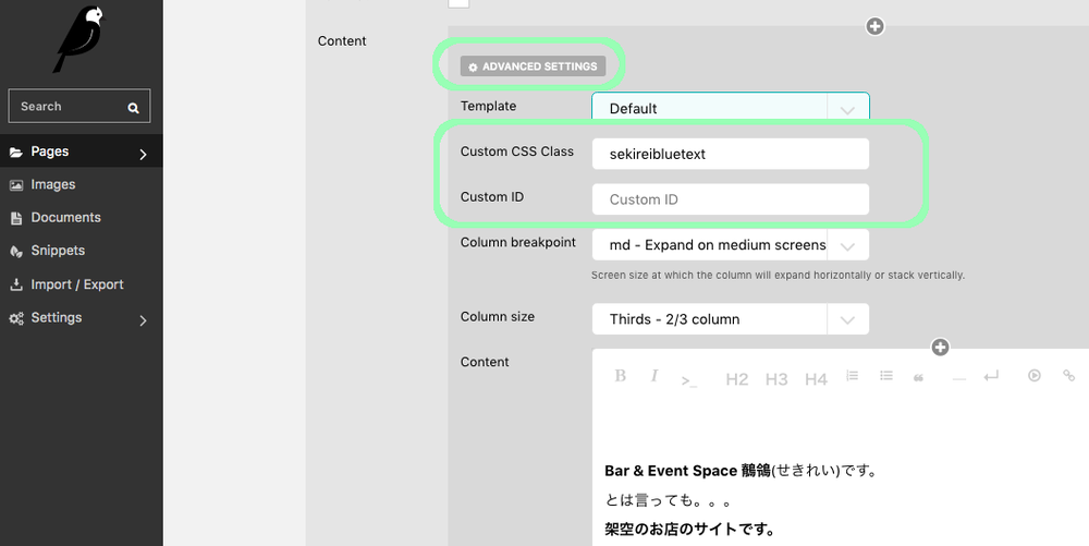 css-setting.png